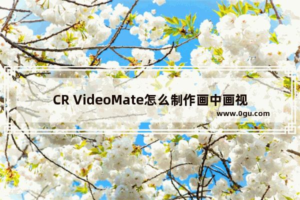 CR VideoMate怎么制作画中画视频 CR VideoMate制作画中画视频的方法