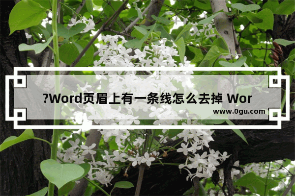 ?Word页眉上有一条线怎么去掉 Word文档去掉页眉横线的方法教程