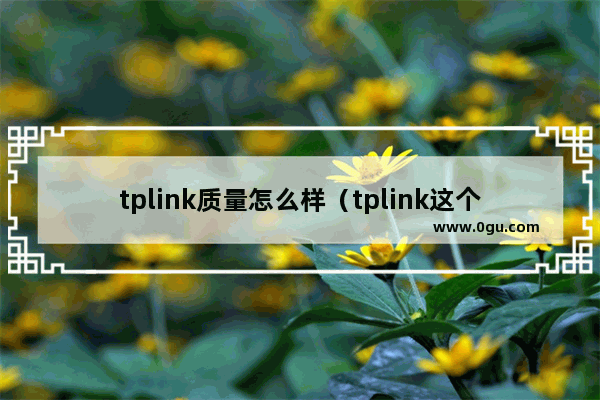 tplink质量怎么样（tplink这个牌子怎么样）