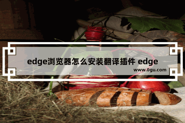 edge浏览器怎么安装翻译插件 edge浏览器安装翻译插件的方法