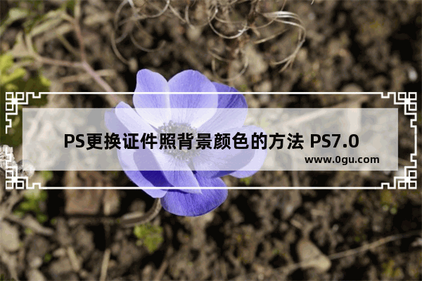 PS更换证件照背景颜色的方法 PS7.0如何快速更换证件照背景颜色