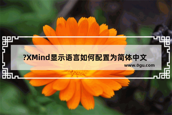 ?XMind显示语言如何配置为简体中文 XMind电脑版设置简体中文的方法教程