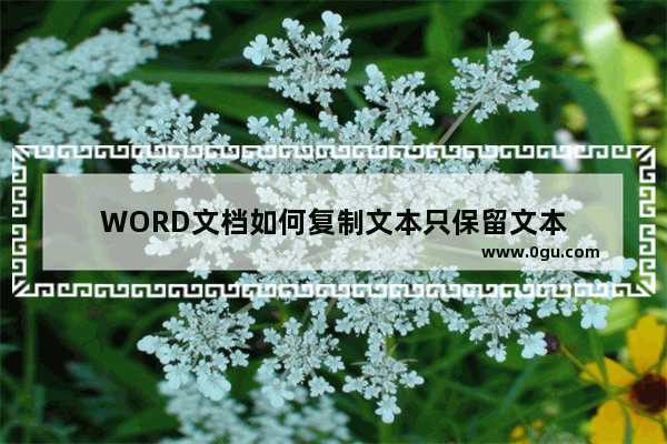 WORD文档如何复制文本只保留文本