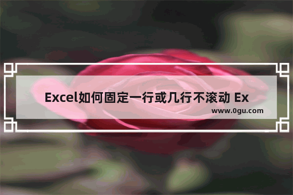 Excel如何固定一行或几行不滚动 Excel表格固定一行或几行不滚动的方法教程