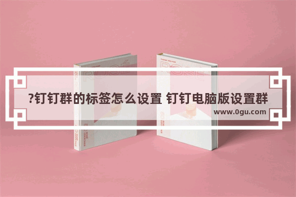 ?钉钉群的标签怎么设置 钉钉电脑版设置群标签的方法教程