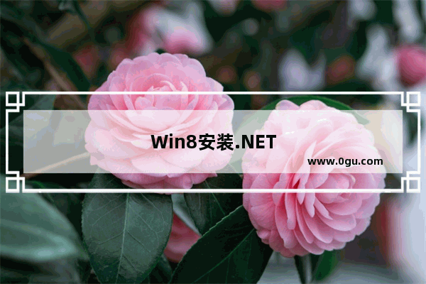 Win8安装.NET