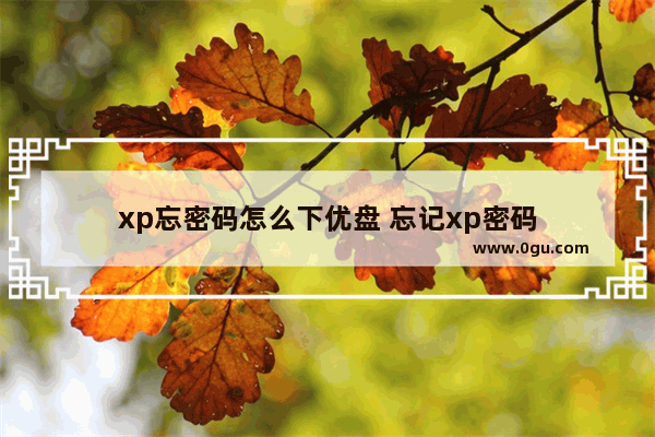 xp忘密码怎么下优盘 忘记xp密码