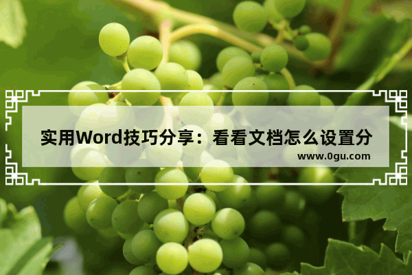 实用Word技巧分享：看看文档怎么设置分栏 