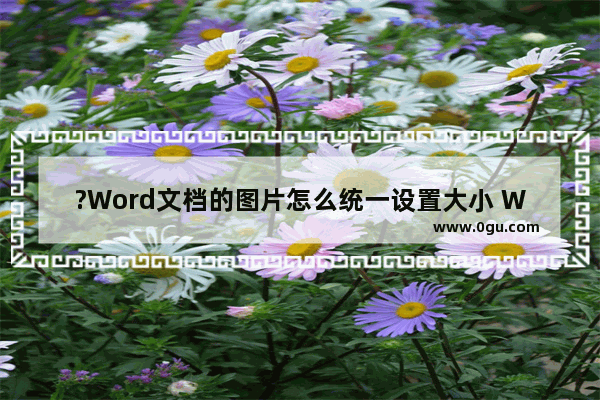 ?Word文档的图片怎么统一设置大小 Word文档统一设置图片大小的方法教程