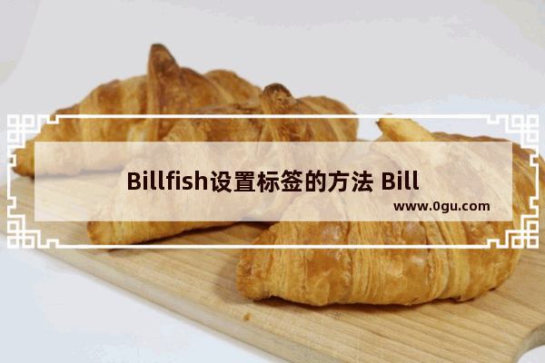 Billfish设置标签的方法 Billfish怎么将图片放到标签管理里面