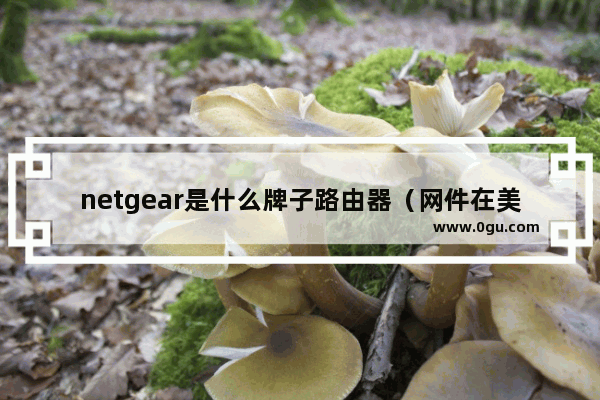 netgear是什么牌子路由器（网件在美国是什么档次）