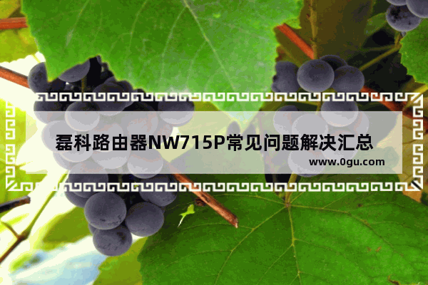 磊科路由器NW715P常见问题解决汇总