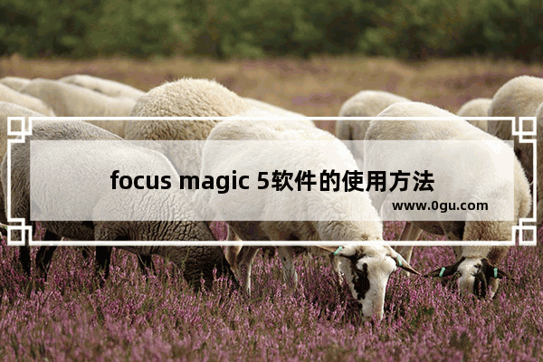 focus magic 5软件的使用方法 focus magic 5软件怎么使用