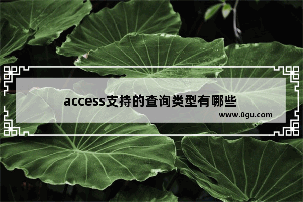 access支持的查询类型有哪些 