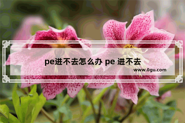 pe进不去怎么办 pe 进不去