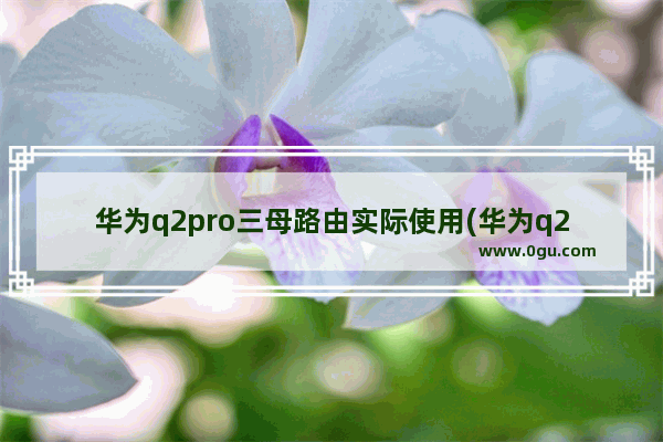 华为q2pro三母路由实际使用(华为q2路由器使用说明书)