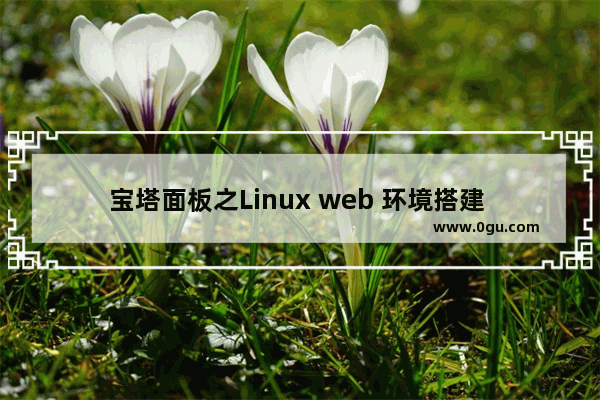 宝塔面板之Linux web 环境搭建 