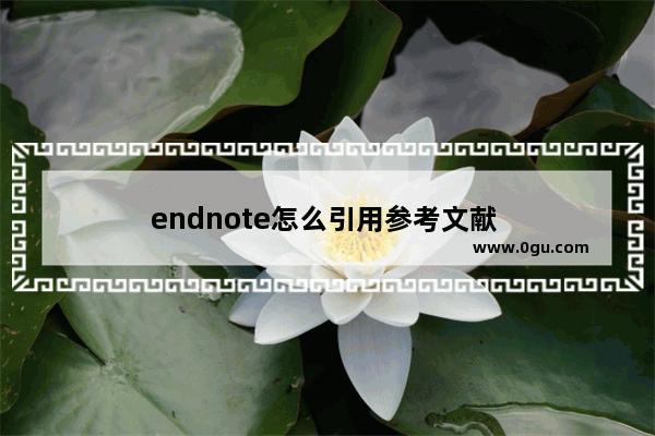 endnote怎么引用参考文献 