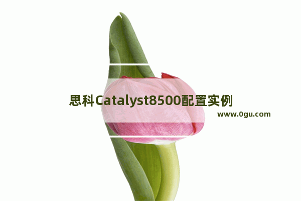 思科Catalyst8500配置实例