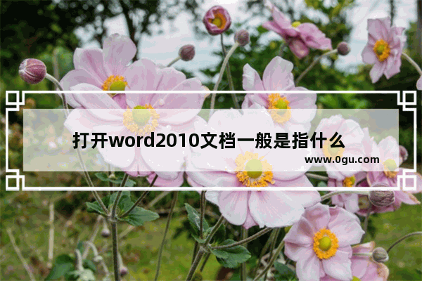 打开word2010文档一般是指什么 