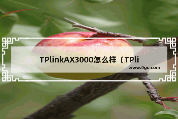 TPlinkAX3000怎么样（TPlink的wifi6路由器点评）