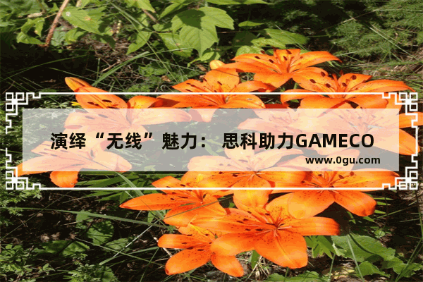 演绎“无线”魅力： 思科助力GAMECO提速