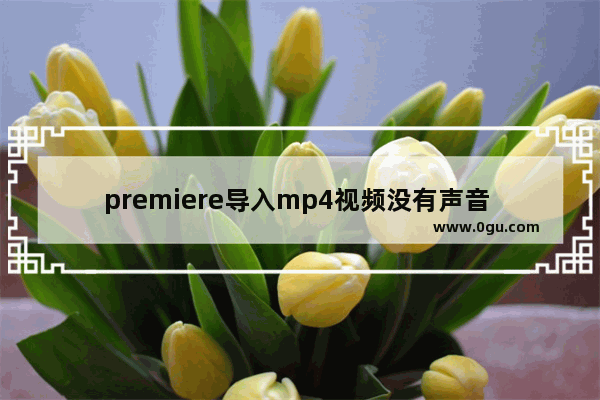 premiere导入mp4视频没有声音 