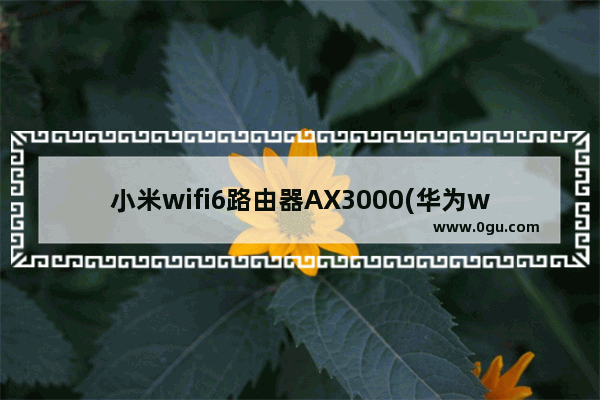 小米wifi6路由器AX3000(华为wifi6和小米ax3600对比)