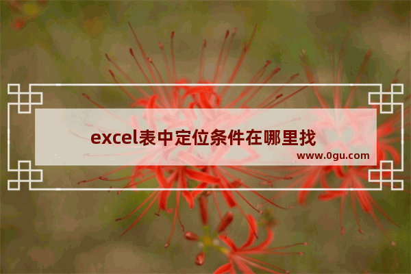 excel表中定位条件在哪里找 