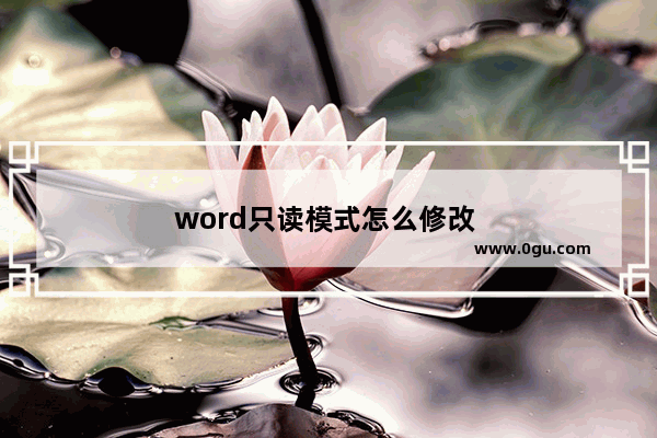 word只读模式怎么修改 