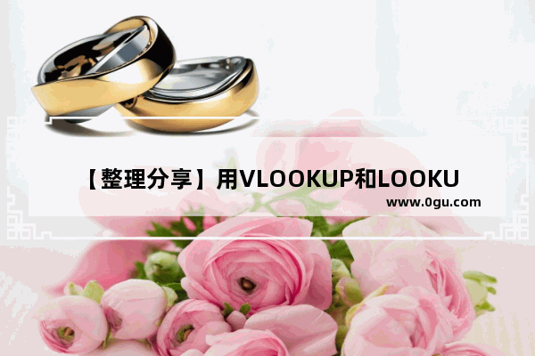 【整理分享】用VLOOKUP和LOOKUP函数进行模糊查找的4种方法 