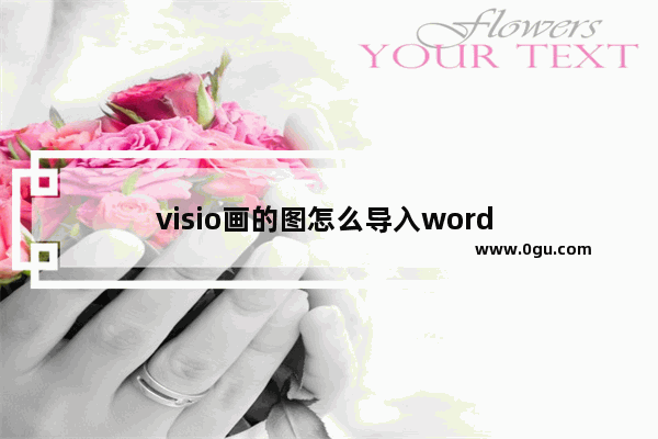 visio画的图怎么导入word 