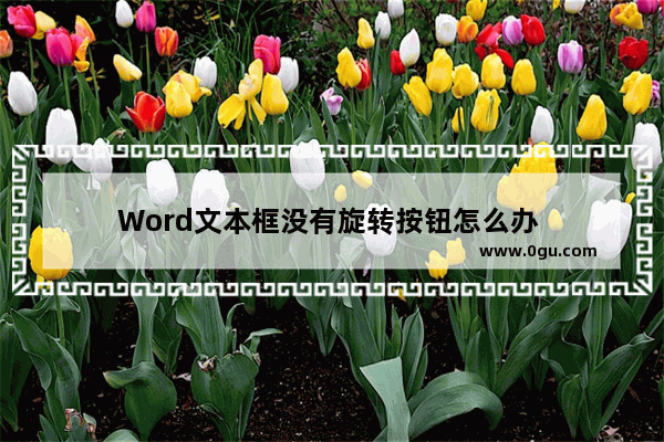 Word文本框没有旋转按钮怎么办 