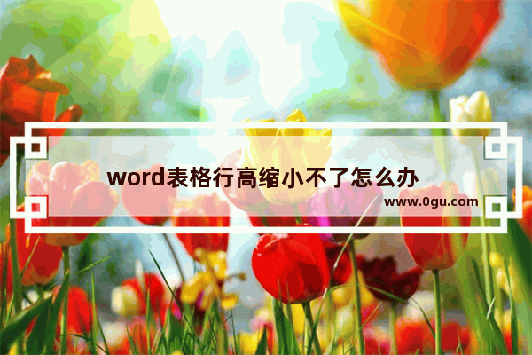 word表格行高缩小不了怎么办 