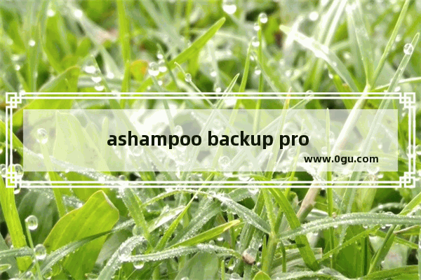 ashampoo backup pro 16的使用方法 ashampoo backup pro 16怎么用