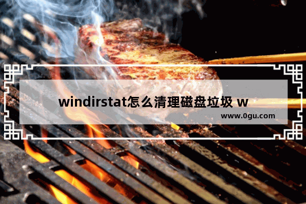 windirstat怎么清理磁盘垃圾 windirstat清理磁盘垃圾的方法