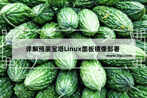 详解预装宝塔Linux面板镜像部署 