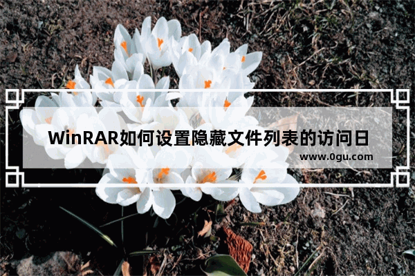 WinRAR如何设置隐藏文件列表的访问日期列