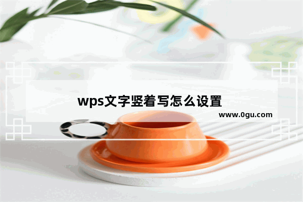 wps文字竖着写怎么设置 