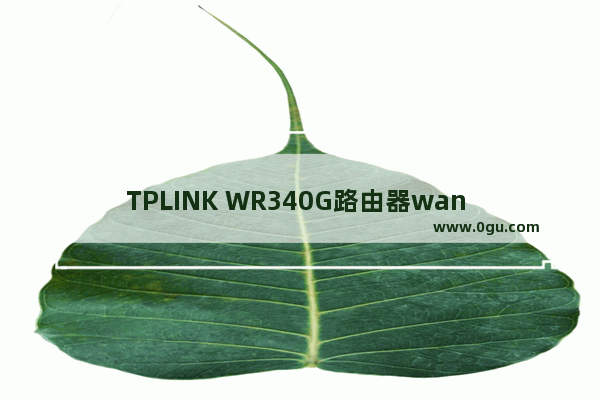 TPLINK WR340G路由器wan ip和外网ip不一致怎么办?(TPWR340G路由器的wan ip与外网ip不一致怎么办？)