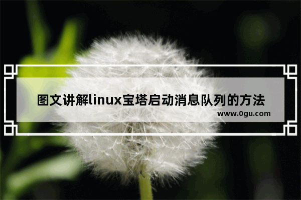 图文讲解linux宝塔启动消息队列的方法 