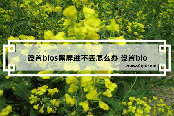 设置bios黑屏进不去怎么办 设置bios开机黑屏什么都不显示