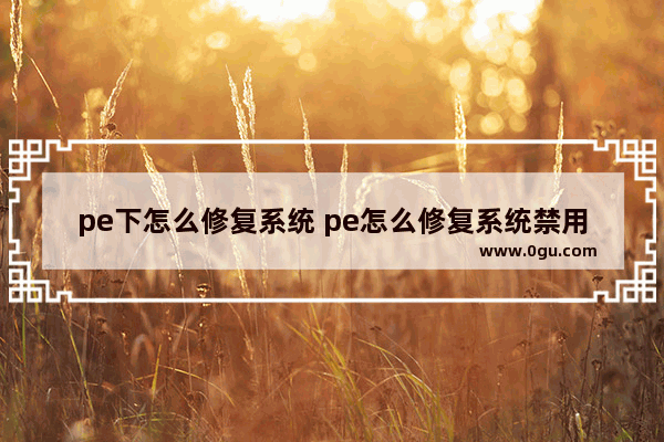 pe下怎么修复系统 pe怎么修复系统禁用的端口