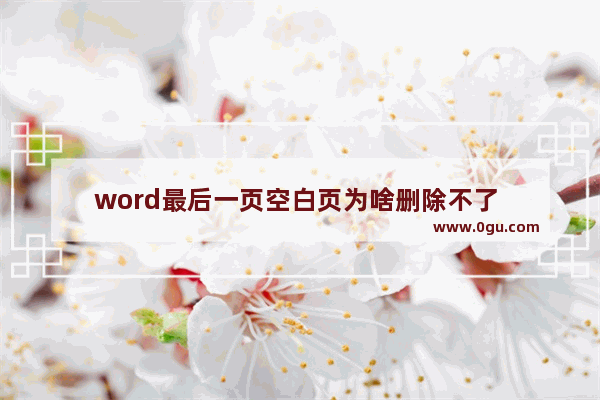 word最后一页空白页为啥删除不了 