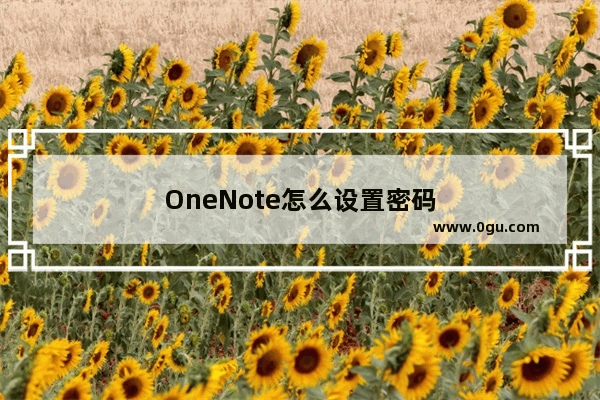 OneNote怎么设置密码