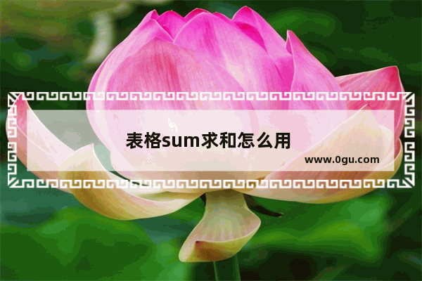 表格sum求和怎么用 