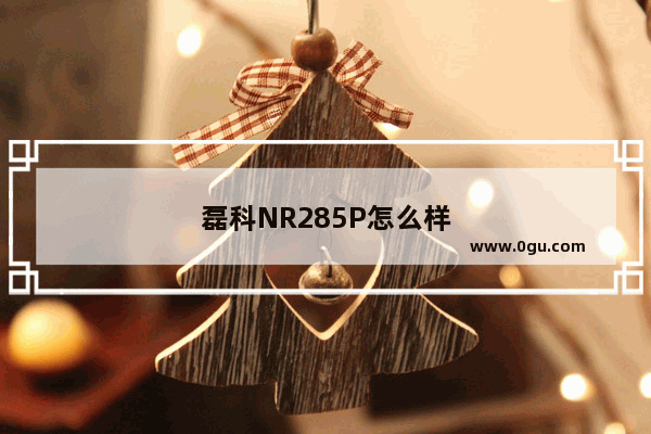 磊科NR285P怎么样