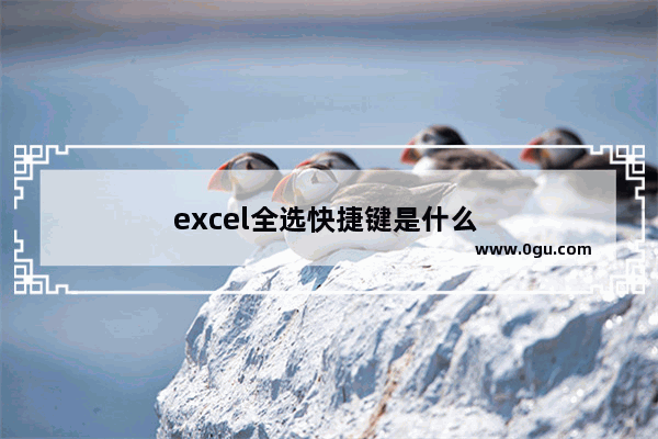 excel全选快捷键是什么 