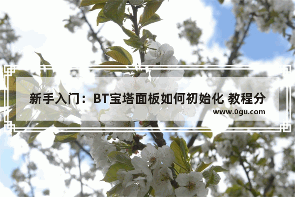 新手入门：BT宝塔面板如何初始化 教程分享 