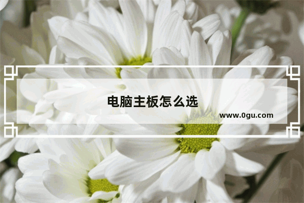 电脑主板怎么选